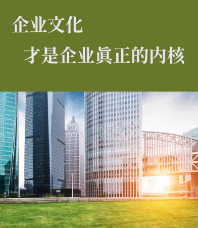 福州领嘉科技弱电工程与网络工程服务技术优势解析